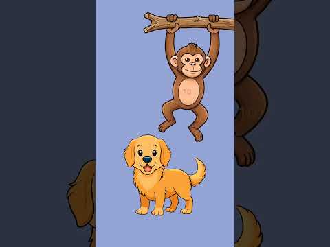 10 kitne Bar Hai #challenge #trending #viral #shorts