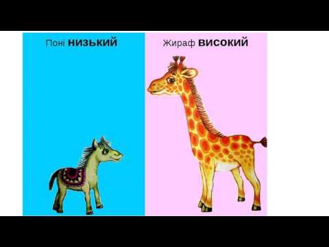 Вчись граючись .Протилежності
