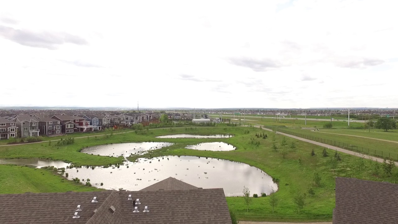 171 Auburn Meadows Pl SW on the pond with views galore! YouTube