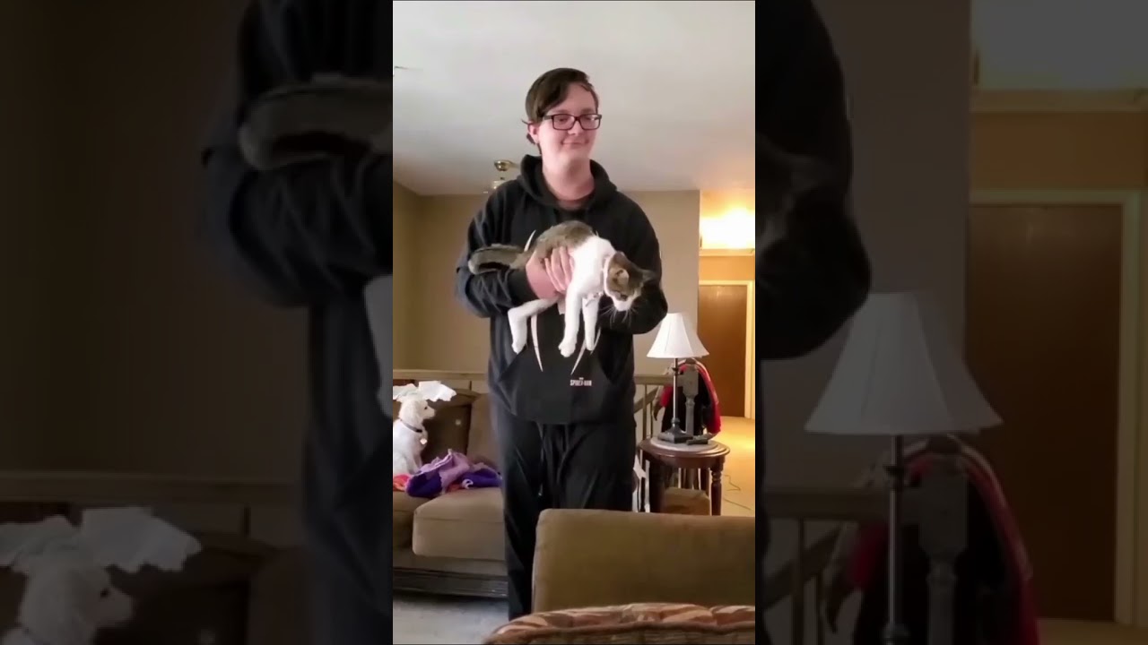 cat rifle 😂 subscribe for more ❤️ 