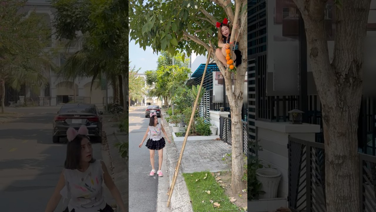 Kindness is Misunderstood #catcute747