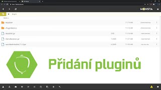 Návod na přidání PLUGINŮ do Minecraft Serveru na Hicorii!