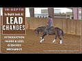 How to Train LEAD CHANGES - My favorite approach