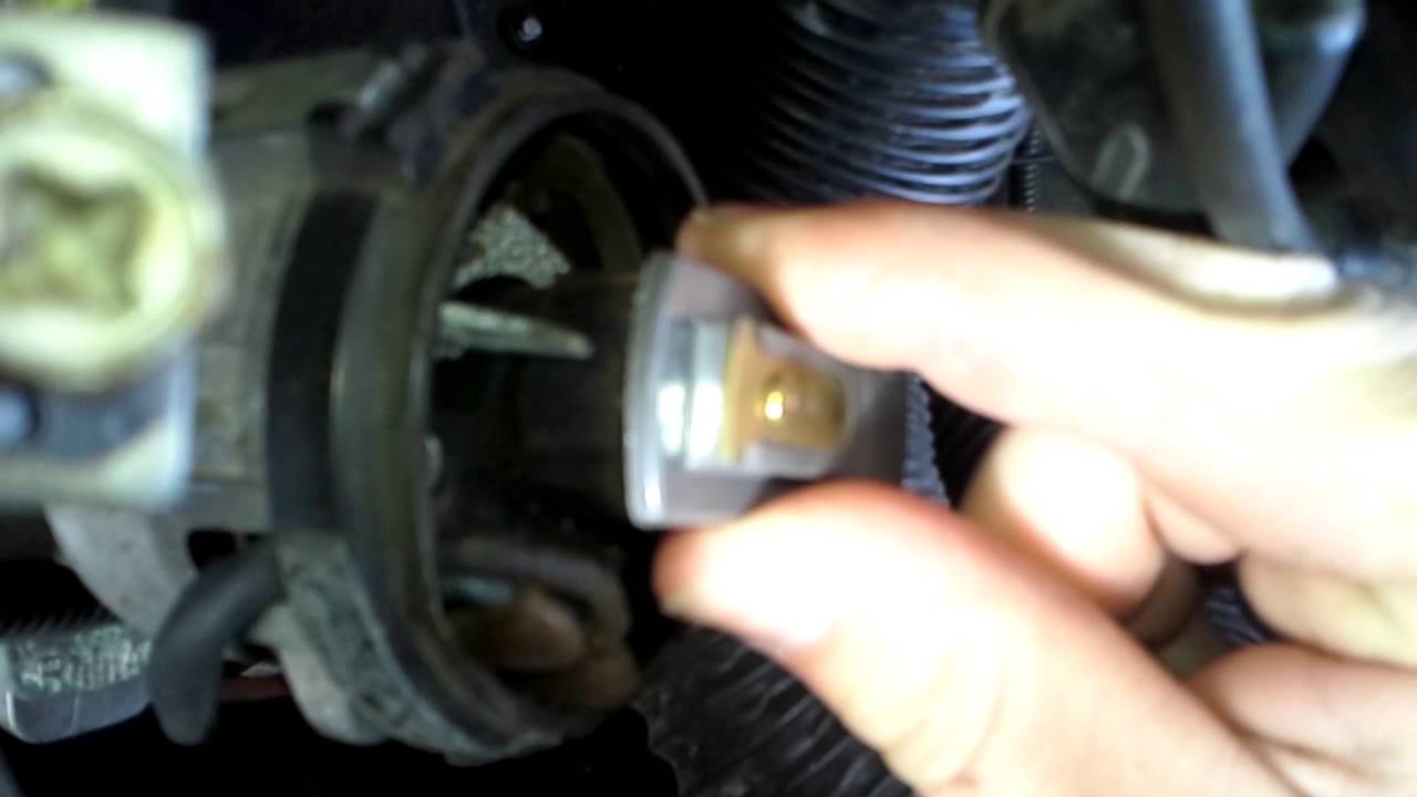 Distributor play YouTube