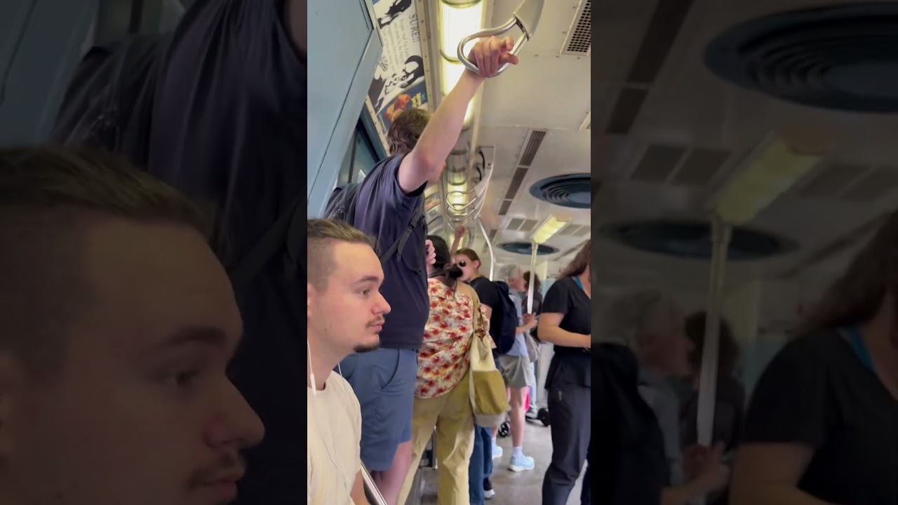 As I was riding 6387 on a R16 subway train to Brighton Beach look at the lady’s hair in the middle.