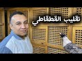 تقليب القطاطي واهم مميزاته