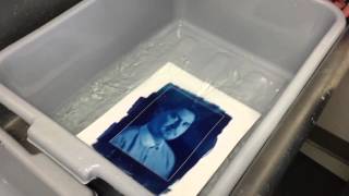 Hello Cyanotype, meet Hydrogen Peroxide