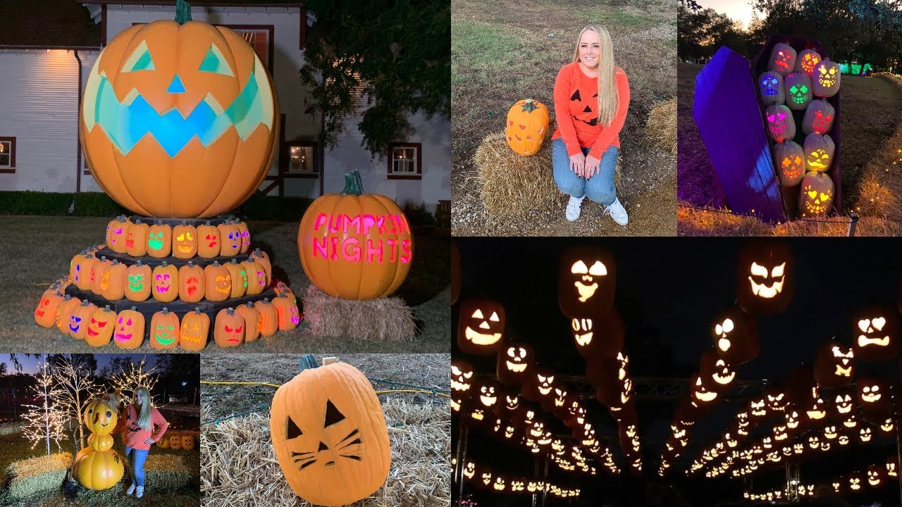 Pumpkin nights denver coupon code