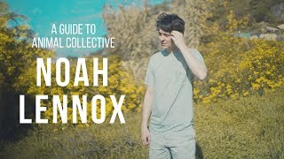 A GUIDE TO ANIMAL COLLECTIVE: Panda Bear