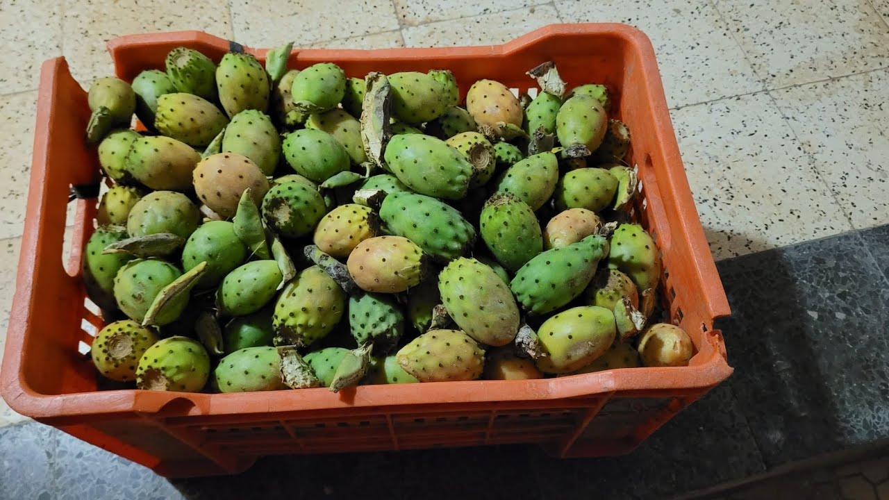 وداعا لأعراض الروماتيزم و آلام المفاصيل 🌵 والله وصفة مجربة وفعالة مئة بالمئة