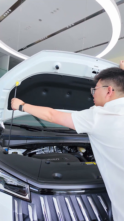 All New 2025 GAC Trumpchi M8 MPV