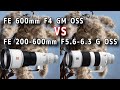 【SONY】FE 600mm F4 GM OSS VS FE 200-600mm F5.6-6.3 G OSS ソニー望遠対決をしたら意外な結果がでた 【SEL600F40GM SEL200600G】