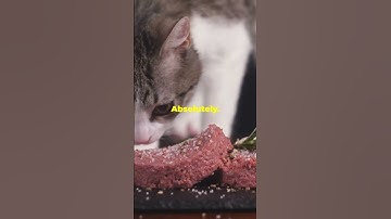 The Purr-fect Meal: What Cats Secretly Crave!