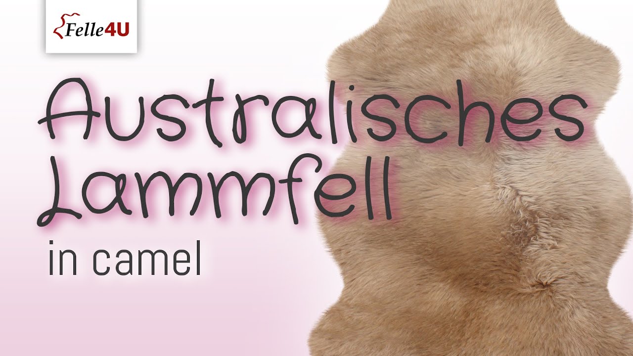 ✓ Australisches Lammfell (camel, 90 x 63 cm)