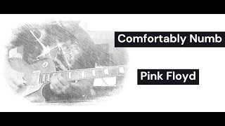 9: Pink Floyd - Comfortably Numb Solo Cover