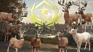 How to get money stupid fast in cotw, beginner guide have any questions? ask away!