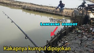 Sambaran bertubi-tubi ! mancing kakap ditambak - Kronjo - Tangerang