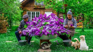 Аромат Весны - Готовим  Домашний Сиреневый Сироп