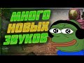 Очень много звуков и фиксы баланса - Патчноут 17.05.2023 | Stalcraft