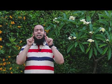 هي دي المشكلة