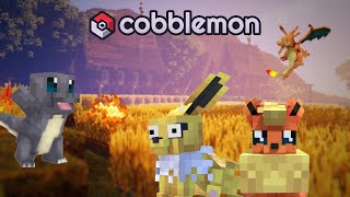 Gotta catch em all, Co-op | Cobbleland