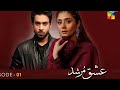 Ishq Murshid Instrumental Song Ishqmurshid Ishq Murshid Instrumental Song Ishqmurshid