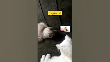 و دارت الايام ام كلثوم 