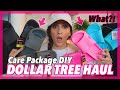 DOLLAR TREE HAUL **BRAND NEW SPRING FINDS FOR $1.00** DIY CARE PACKAGE