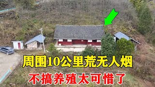 贵州大山上发现一独户木房周围10公里荒无人烟不搞养殖太可惜了【乡村阿泰】