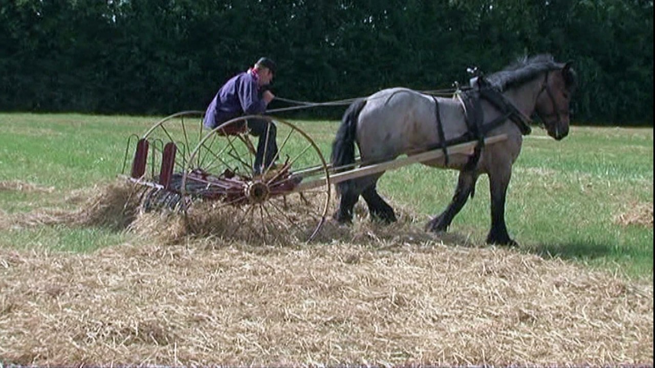 Oogstdemonstratie Maaien