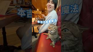 舅舅的乖乖魔法！？🪄🪄 【麻吉太郎】 #癱瘓貓 #貓 #可愛 #cute #shorts