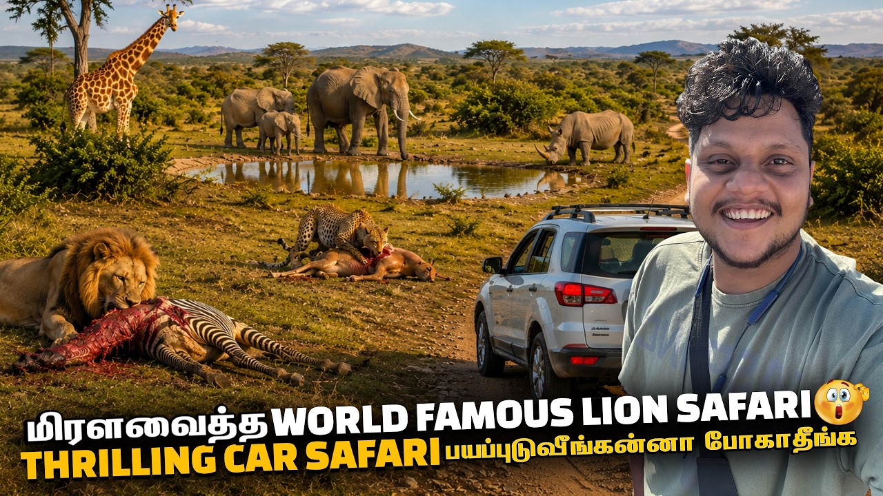 ⁣மிரளவைத்த World Famous African lion Safari | South Africa Ep 8