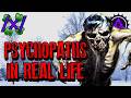 Psychopaths in Real Life | 4chan /x/ Bizarre Greentext Stories Thread
