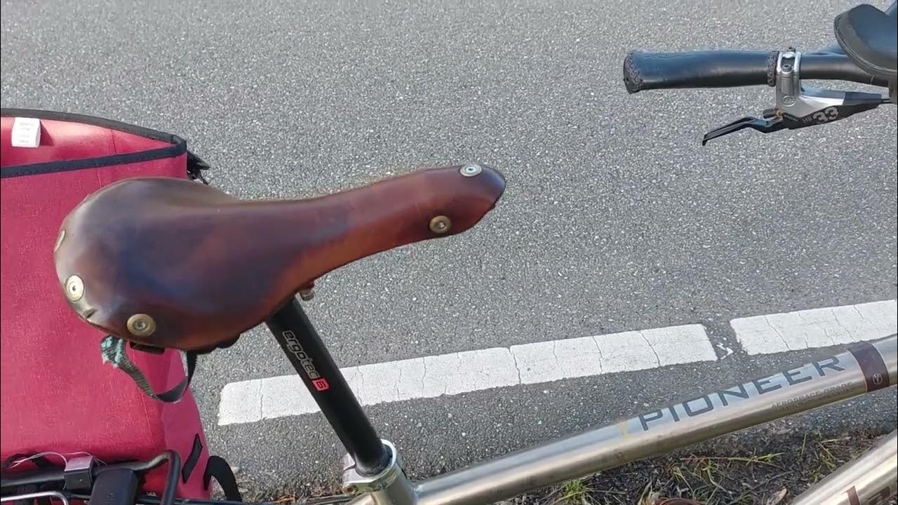 review of the Rohloff speed hub gear step size, noise, alternatives