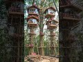 I Build a Luxury Treehouse Resort 😳🌲