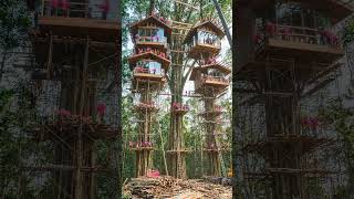 I Build a Luxury Treehouse Resort 😳🌲