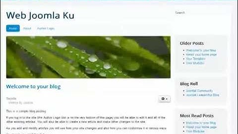 Cara Instal Joomla di Localhost dengan menggunakan Server XAMPP