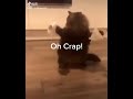 オーマイガッ→牛乳吹いたら負けwww#shorts