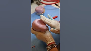 Dental Technician POV 👀