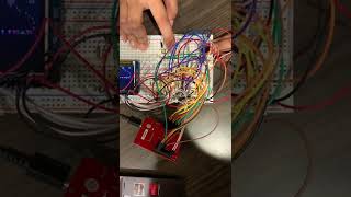 EE319K Lab 10