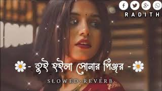 Tui Hoila Sonar Pinjar Mayana Pakhiya    তুই হইলা সোনার পিঞ্জর ময়না পাখিয়া  #trending#viral 9