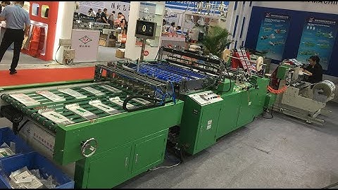 DRQ-D800 Automatic High Speed Double Lines Side Sealing Bag Making Machine