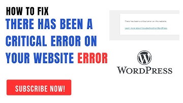 How to fix the There has been a critical error on your website error 2025