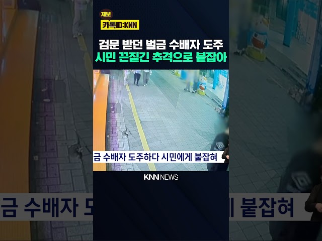 벌금 수배자 도주하다 시민에게 붙잡혀 / KNN