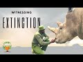 Witnessing extinction  get to know james mwenda and the last two northern white rhinos