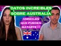 REACCIONAMOS A: 50 DATOS CURIOSOS SOBRE AUSTRALIA!! *¿TE LO IMAGINABAS?* 😱