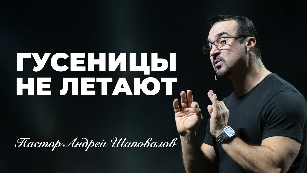 «Гусеницы не летают» Пастор Андрей Шаповалов