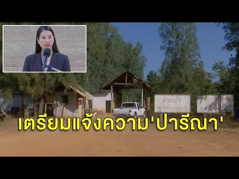 กรมป่าไม้จ่อแจ้งความ 'ปารีณา' รุกป่า 'บิ๊กป้อม' ไม่ปกป้อง ลั่นผิดว่าตามผิด