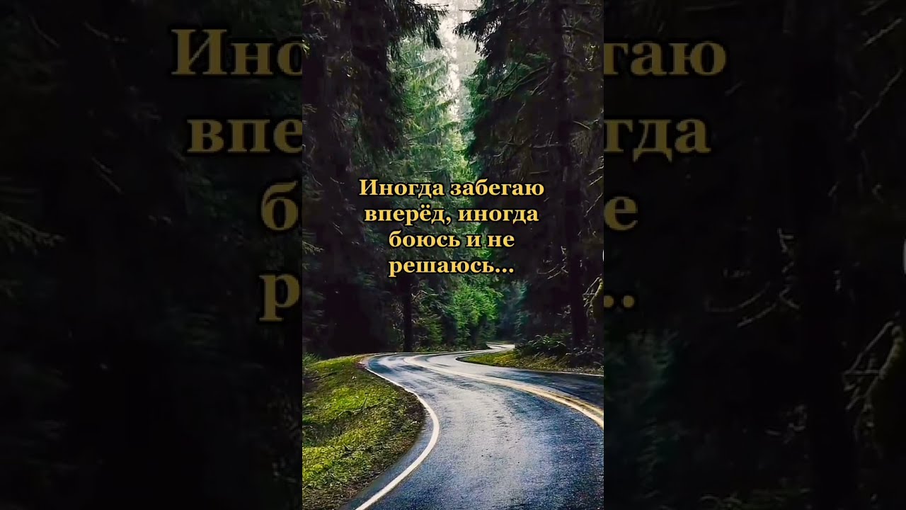1001 Альбом Который Нужно Услышать Купить Книгу
