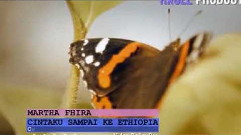 Martha Fhira • Cintaku Sampai Ke Ethiopia (Official Music Video)